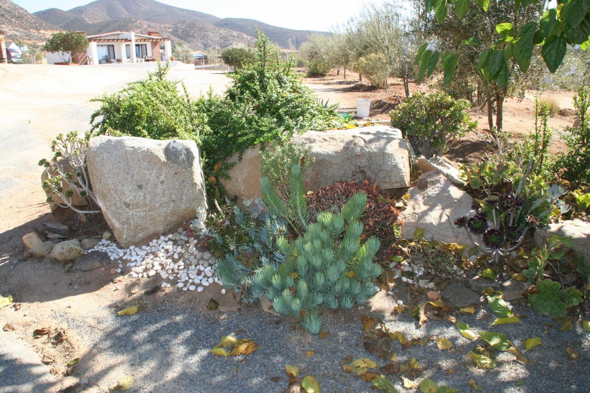 Quinta Sofia Valle De Guadalupe (Adults Only) Valle de Guadalupe Exterior foto