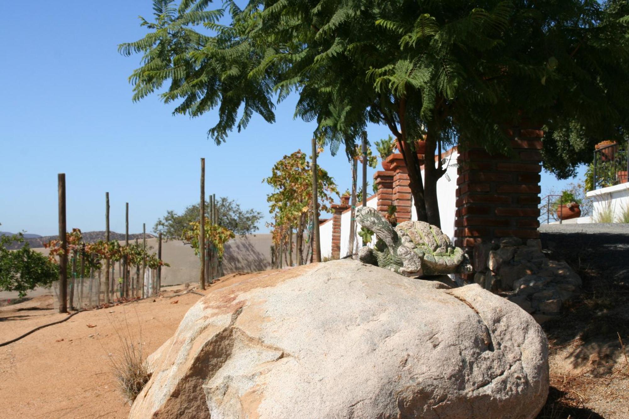 Quinta Sofia Valle De Guadalupe (Adults Only) Valle de Guadalupe Exterior foto
