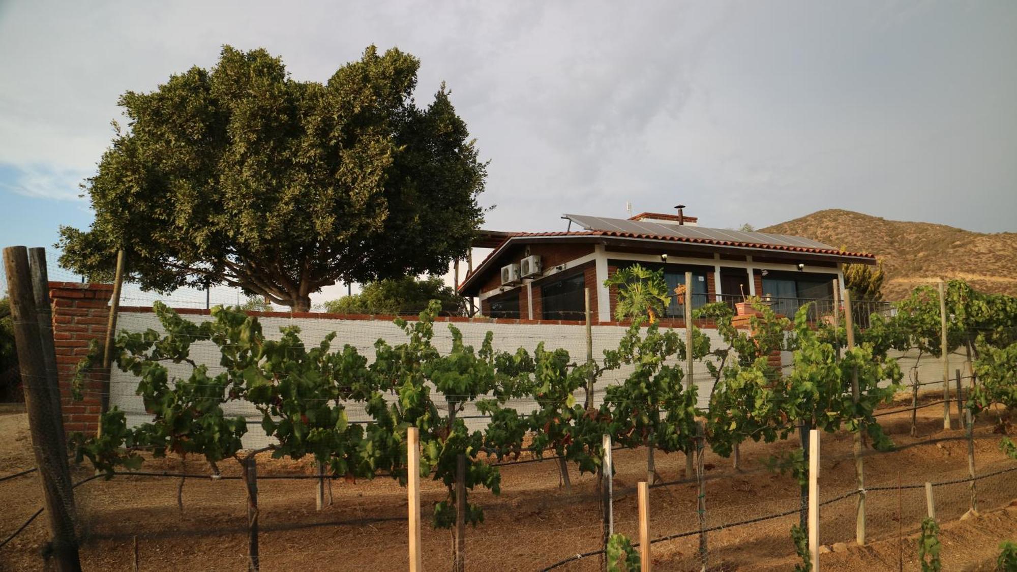 Quinta Sofia Valle De Guadalupe (Adults Only) Valle de Guadalupe Exterior foto